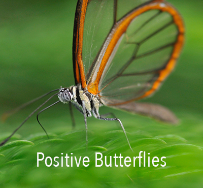 Positive Butterflies